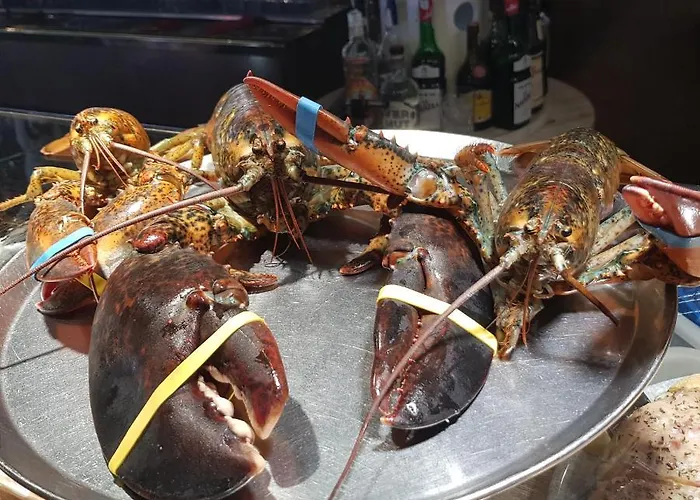 El & Co ホステル サンタンデール